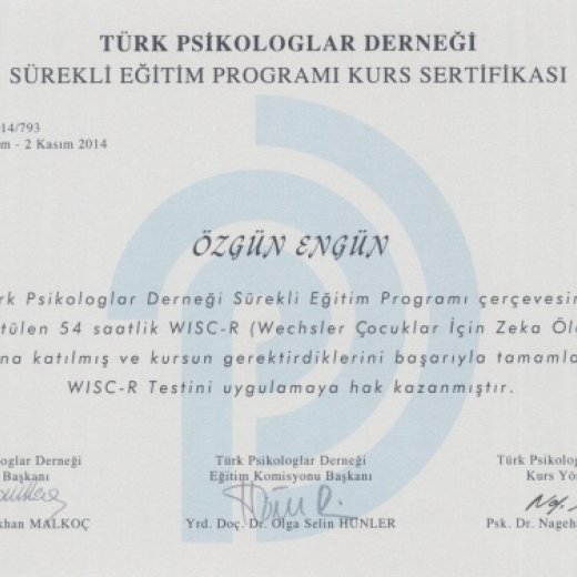 Elmira Psikoloji İzmir Uzman Psikolojik Danışmanlık ve Terapi
